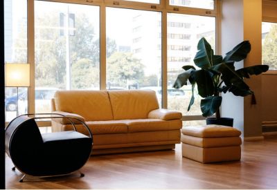 Sunlit lounge area featuring a tan leather sofa, designer black chair, and a large potted plant.