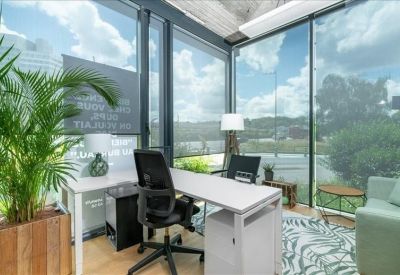 Bright corner office with floor-to-ceiling windows and lush green plants.