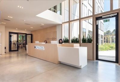 Spacious light-filled reception area with a minimalist wooden front desk and glass entrance.