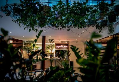 Low-angle view of hanging plants and greenery in a modern lounge space.