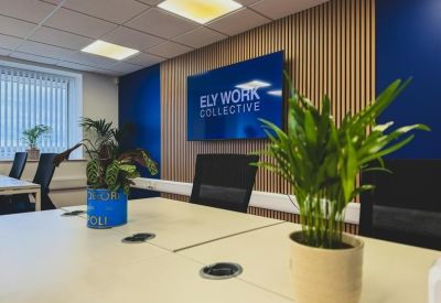 Open workspace with display and potted plants