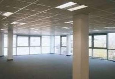 Bright, open-plan office space with grey carpeting and large windows.