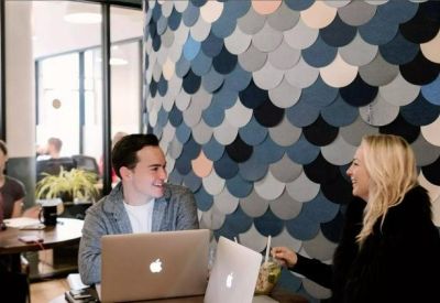 Meeting area with a decorative blue scalloped feature wall and laptop workstations.