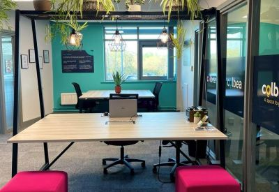 Coworking desk with pink ottomans and lush hanging plants overhead.