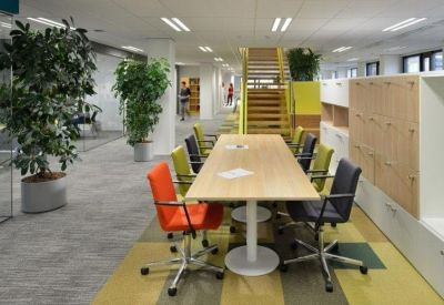 Shared workspace featuring a long wooden table, colorful chairs, and indoor plants.