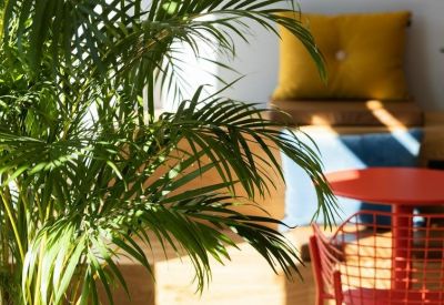 Serviced office centres in central Zurich