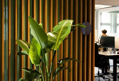 Offices at Uraniastrasse 31, Handelshof