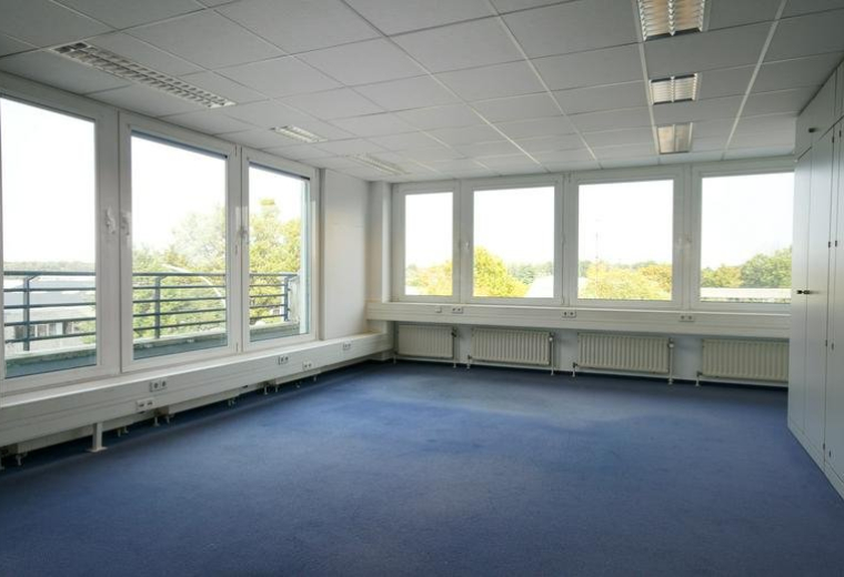 Spacious corner office with multiple large windows overlooking trees.