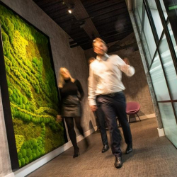 Great Exhibition Way, Number One