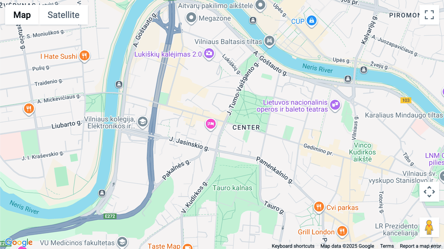 Click for interative map of 44A Gedimino Avenue, Vilnius