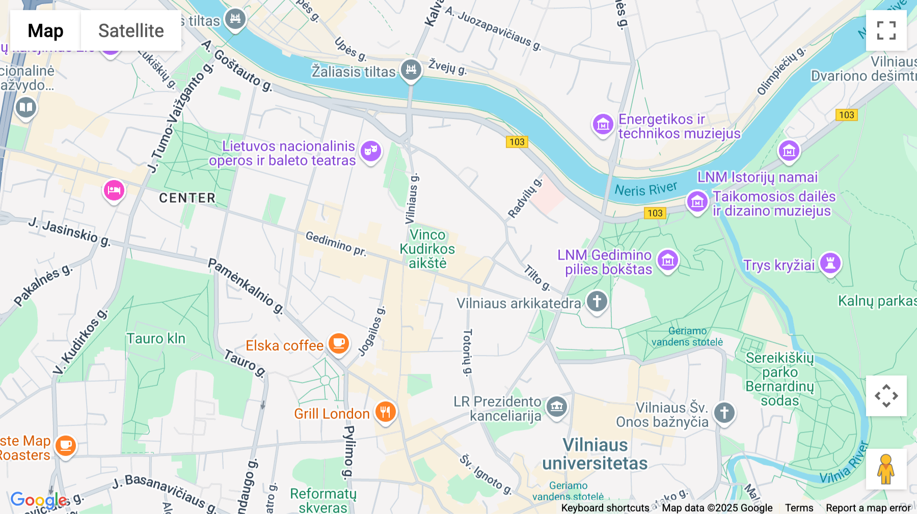 Click for interative map of Gedimino Prospektas 9, Vilnius