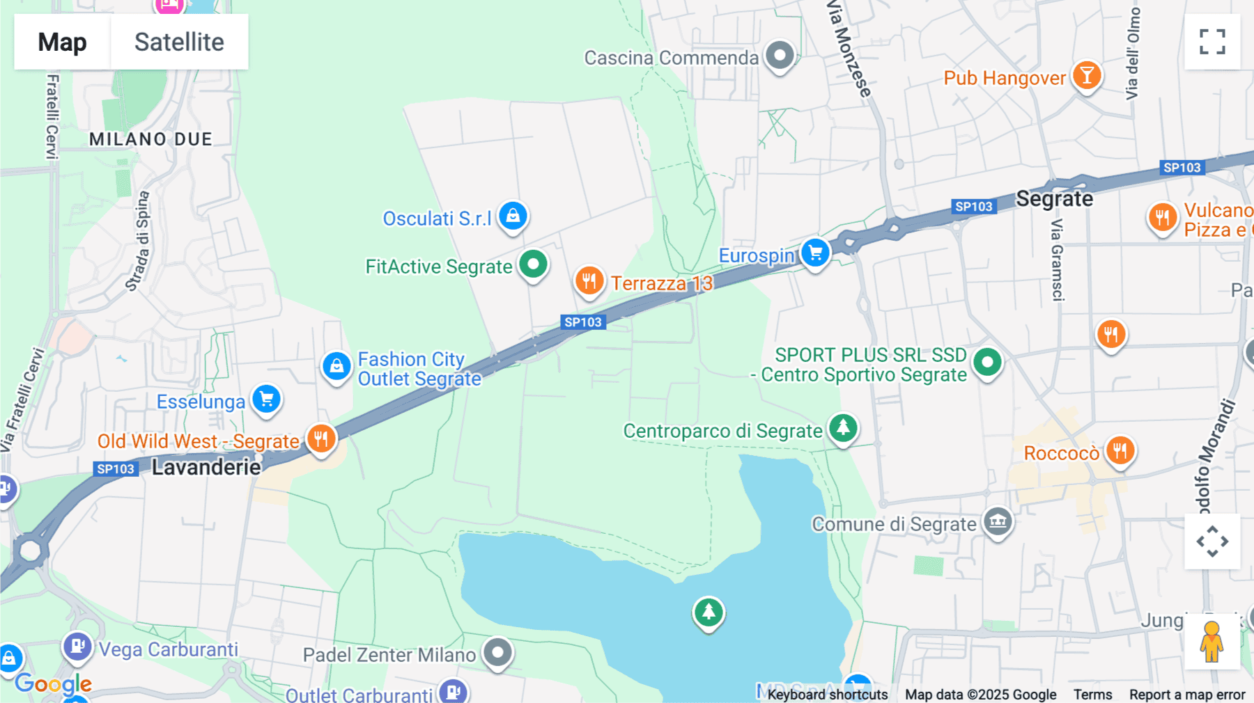 Click for interative map of Via Leonardo da Vinci, 4, Segrate