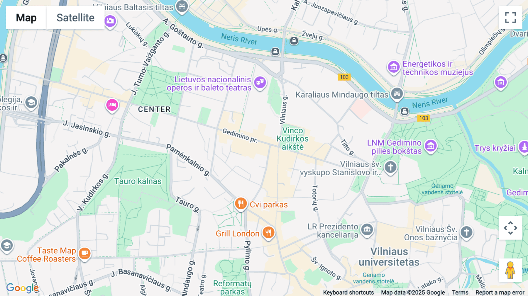 Click for interative map of Gedimino av. 20, Vilnius