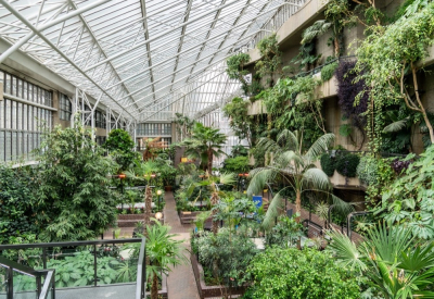 Barbican Conservatory