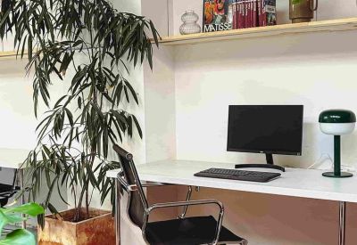 Single desk workstation beside a large indoor plant and wall-mounted shelving.