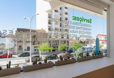 Street view through a window featuring potted cacti and signage at Avenida 1º de Maio 20, Caldas Da Rainha.