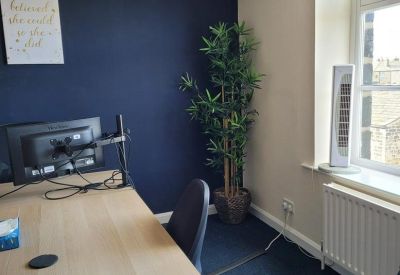 Private desk space with a monitor, blue feature wall, and a large indoor plant.