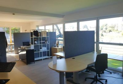 Bright open-plan office with white desks, blue privacy screens, and large windows.