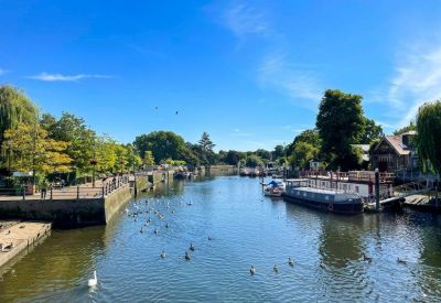 Wide view of a sunny river filled with swans and rowing boats under a clear blue sky.