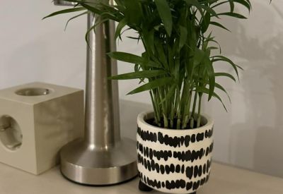 Decorative small palm plant in a patterned pot next to a modern silver lamp.