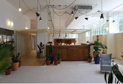 Wide common area with industrial ceilings, hanging lights, and various potted plants.