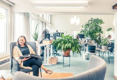 Comfortable lounge seating area in a bright room with a large potted plant.