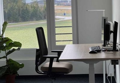Ergonomic workstation with a height-adjustable desk, monitor, and large houseplant.