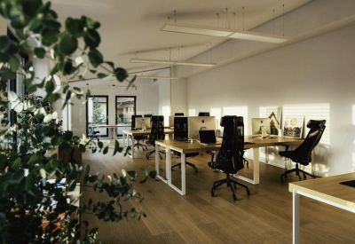 Spacious open-plan office at 2 Piața Muzeului, Historic City Centre, Cluj Napoca with greenery and wooden floors.