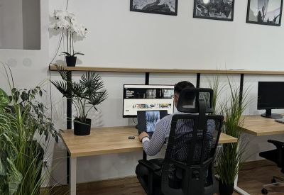 A person working at a standing desk with indoor plants and landscape photography on the wall.