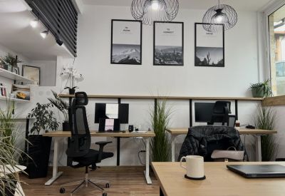 A tidy workspace featuring two desks, monitors, and tall decorative grass plants.