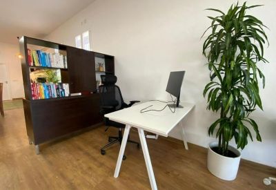 Bright workspace featuring a white desk, ergonomic chair, and a large indoor plant.