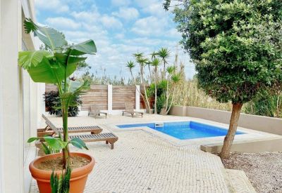 Outdoor patio area with a blue swimming pool, wooden lounge chairs, and palm trees.