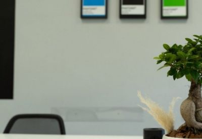 Close-up of a desk with a potted bonsai tree and framed color swatches on the wall.