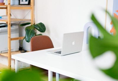 Bright workspace with white desk, laptop, and leafy green plants.