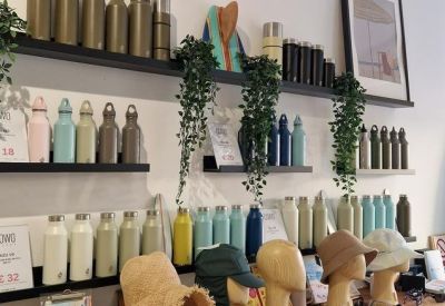Interior retail wall displaying reusable water bottles on wooden shelves with hanging plants.