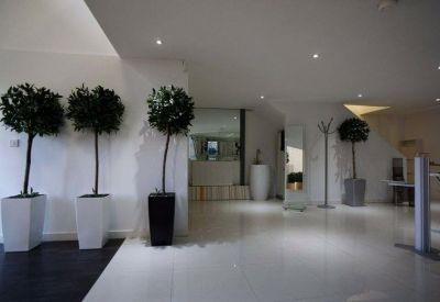 Spacious white lobby featuring multiple potted topiary trees and clean minimalist design.