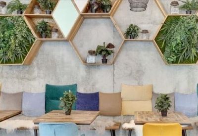 Cafe seating area with a concrete wall featuring hexagonal wooden shelves filled with lush green plants.
