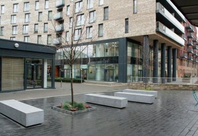 Paved outdoor courtyard with concrete benches and a small tree in front of a modern building.
