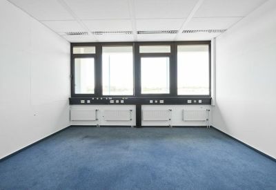 Bright, empty office room with blue carpeting, white walls, and large windows.