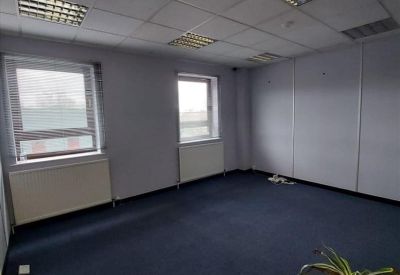 Spacious private office suite with blue carpet and large windows providing natural light.