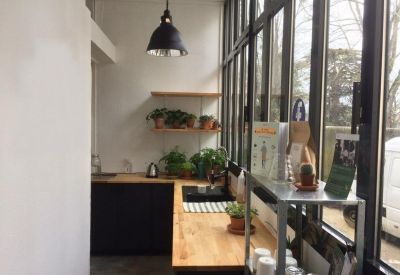 Narrow communal kitchen area with wooden countertops and many potted plants.