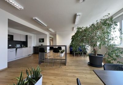 Breakout area with a kitchenette, high-top seating, and large potted plants.