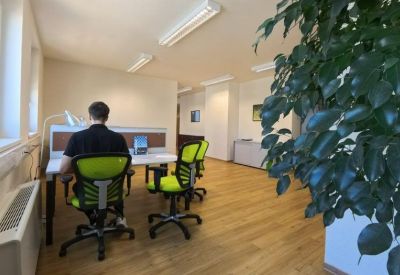 A person works at a desk with vibrant lime green ergonomic chairs and an indoor tree.