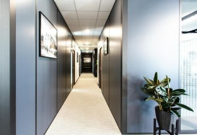 Modern office corridor with gray paneled walls, white ceiling tiles, and potted plants.