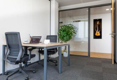 Two-person private office with a large plant and glass partitions.