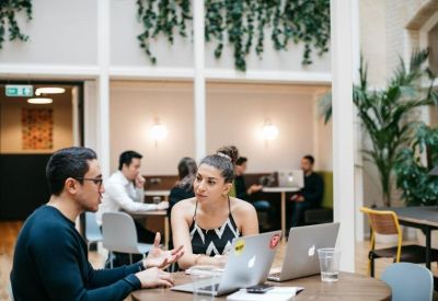 People collaborating at a round wooden table in a meeting area decorated with hanging ivy.