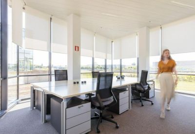 Sunlit open-plan office with white desks, ergonomic black chairs, and large windows.