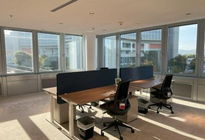 Bright office space with two wooden desks, black ergonomic chairs, and blue privacy screens.
