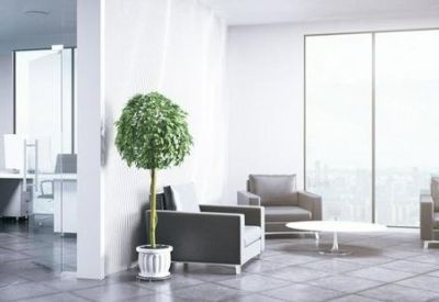 Modern office lounge area with two armchairs and potted plants.