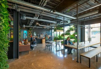 Modern breakout area with a café, industrial ceiling, and lush plant wall.